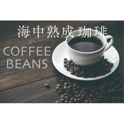 ふるさと納税 陸前高田市 海中熟成珈琲 マンデリンG1 珈琲豆 100g×1袋 コーヒー 珈琲 豆 酸味 飲料 東京屋カフェ |  | 01