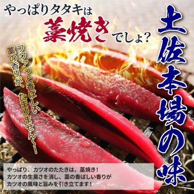 ふるさと納税 土佐清水市 藁焼き かつおのたたき 冷凍 2節 500g(3〜4人前)  タレ・塩付 鰹 刺身【R01445】 |  | 01