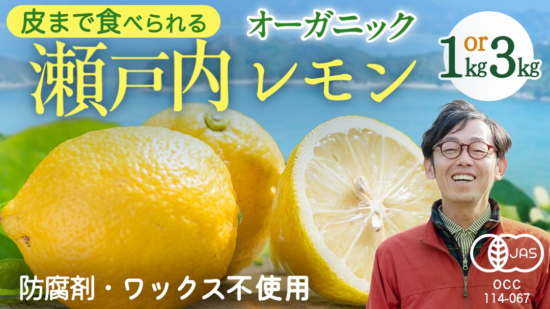 
            瀬戸内 オーガニック レモン  1kg / 3kg 先行予約 有機JAS ワックス不使用 防腐剤不使用 国産 広島 選べるサイズ 発送時期が選べる 広島レモン 瀬戸内レモン 有機レモン ノーワックス 柑橘 健康 生搾り レモンサワー 産地直送 中原観光農園 大崎上島
          
