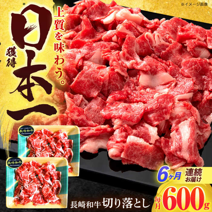 【ふるさと納税】【6回定期便】長崎和牛 切り落とし 600g(300g×2)【有限会社長崎フードサービス】[OCD019]