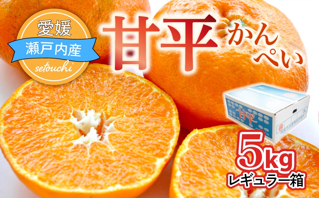
                  ＜先行受付＞人気柑橘　甘平(かんぺい)レギュラー箱　5kg　愛媛県　JAおちいまばり
                