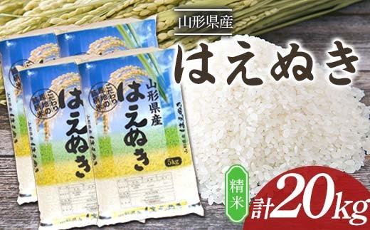 はえぬき 20kg (5kg×4袋) 山形県産 精米 【令和7年産】 F2Y-4605