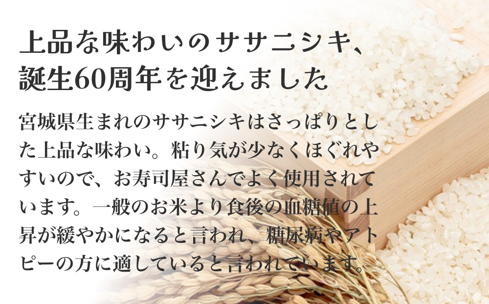 令和6年度産 ササニシキ精米２７kg 精米 お米 米 ごはん ご