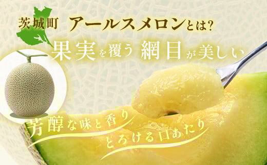 490 アールスメロン 3玉 5L 約8kg 優品以上 高級 茨城 JA水戸産
