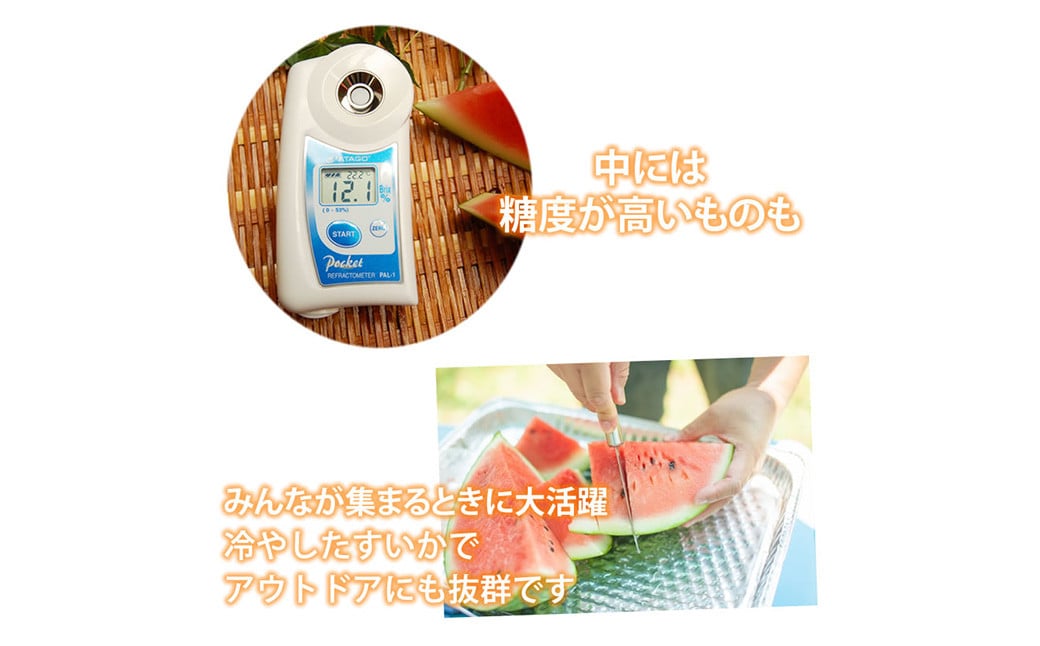 訳あり 小玉すいか 2玉 約2～3kg 送料無料 熊本すいか すいか 西瓜 ひとりじめ 果物 フルーツ 【2026年5月下旬～7月下旬発送予定】