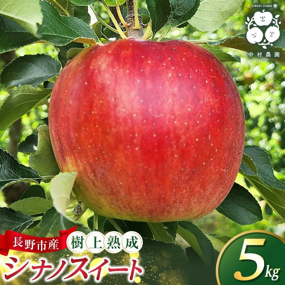 フルーツファーム中村農園　【10月中旬発送 先行予約】樹上熟成　シナノスイート 5kg | りんご シナノスイート りんご