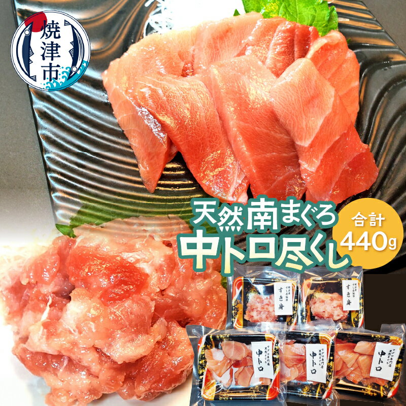 【ふるさと納税】 まぐろ 天然 南まぐろ 刺身 中トロ スライス すき身 トロびんちょうまぐろ バチまぐろ a19-037