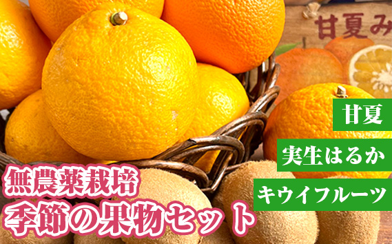 
                  無農薬栽培　季節の果物セット [No.203]
                
