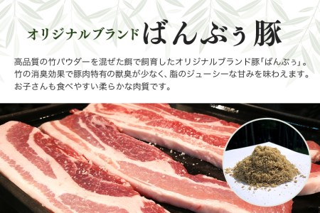 ブランド豚「ばんぶぅ」小分け ロース焼肉用 1kg（500g×2パック） 冷凍便 1キロ 豚肉 豚ロース 豚ローススライス肉 焼き肉用 やき肉用 やきにく用 ヤキニク用 薄切り肉 うす切り肉 ブタ肉 