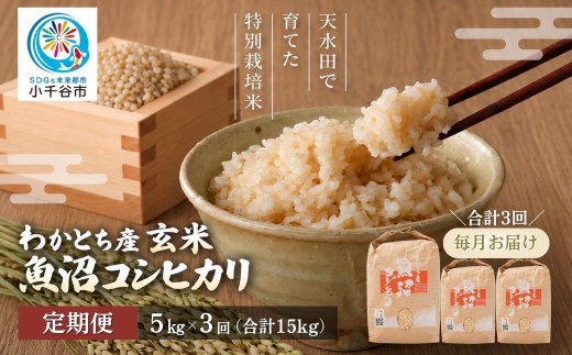 【3か月定期便 コシヒカリ】令和8年産 玄米 魚沼産コシヒカリ 特別栽培米 わかとち産 棚田米 合計15kg（5kg×毎月お届け全3回）Mt.ファームわかとち | 魚沼産こしひかり 魚沼コシヒカリ 新潟県産コシヒカリ 新潟産コシヒカリ こしひかり 特別栽培米 棚田米 わかとち お米 米 白米 玄米 コメ 5キロ 定期便 にいがた おぢや 新潟県 小千谷市 【0013-0012DB00】