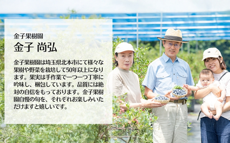 ブルーベリー 冷凍 2袋 (500g✕2) 計 1kg | ブルーベリー ブルーベリー ブルーベリー ブルーベリー ブルーベリー ブルーベリー ブルーベリー