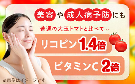 「食の安全」を守りたい！自然を活用した低農薬栽培！ ミディアムトマト 3kg 料理 人気 美容 健康 ギフト 広島県産 江田島市/有限会社グリーンファーム沖美[XAB001]