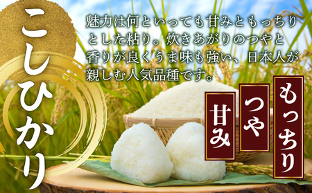 【8月中旬より発送開始】令和7年産 野根川米20kg（10kg×2袋）MZ003