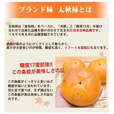 ふるさと納税 益城町 訳あり 太秋柿  約3kg【2025年10月下旬-11月下旬発送予定】(益城町) |  | 02