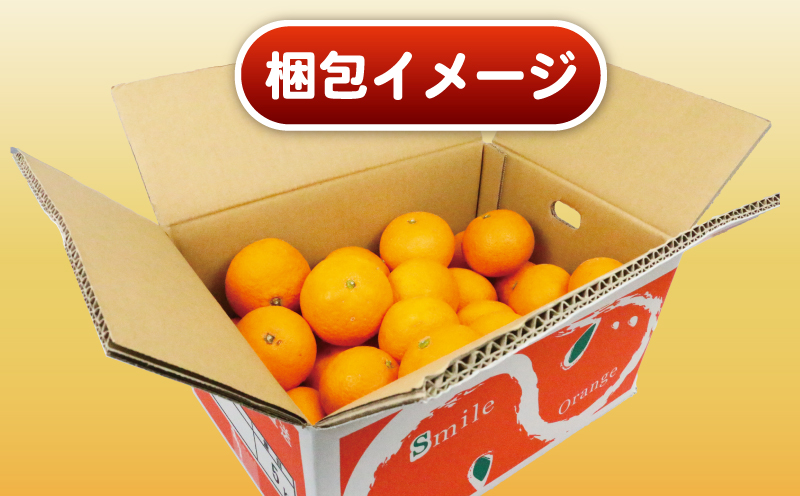 清見 訳あり 清見タンゴール 5kg 杉本屋 先行予約 わけあり タンゴール オレンジ きよみ 清見オレンジ 清見みかん 果物 くだもの フルーツ 柑橘 蜜柑 みかん mikan ミカン デザート 愛