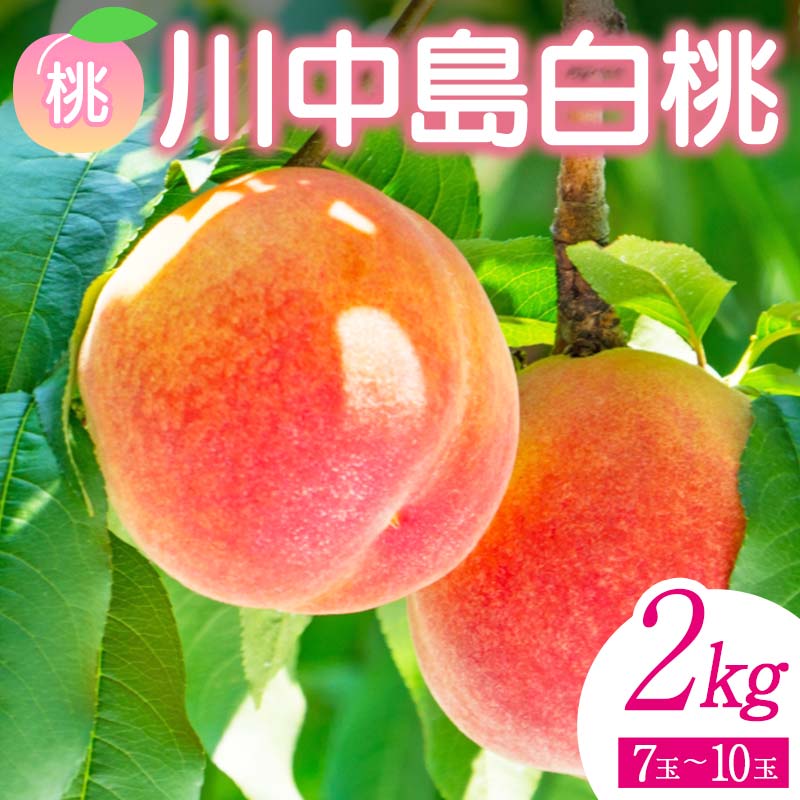 【ふるさと納税】＜先行予約＞ 福島県産 甘くてジューシー 桃 川中島 白桃 2kg（7玉～10玉） モモ フルーツ 果物 福島県 鏡石町 F6Q-355