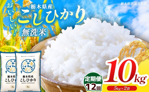 【栃木県共通返礼品】【令和8年度産】【定期12回】 訳あり 栃木県産コシヒカリ  無洗米 5kg×2 10kg | 定期便 選べる ふるさと 納税 コシヒカリ とちぎの星 お米 精米 無洗米 ごはん ご飯 主食 日本米 kome 栃木県 共通返礼品 那珂川町 送料無料