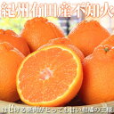 【ふるさと納税】【限定】 【先行予約】紀州有田産 不知火 (しらぬひ) 2.5kg【でこぽん デコポン しらぬい 不知火 柑橘】