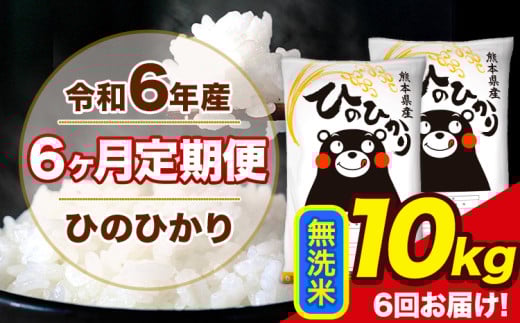 令和6年産 【6ヶ月定期便】 ひのひかり 無洗米 10kg 5kg×2袋 計3回お届け 熊本県産 こめ コメ 無洗米 精米 荒尾市 ひの 米 定期 《お申込み月の翌月から出荷開始》