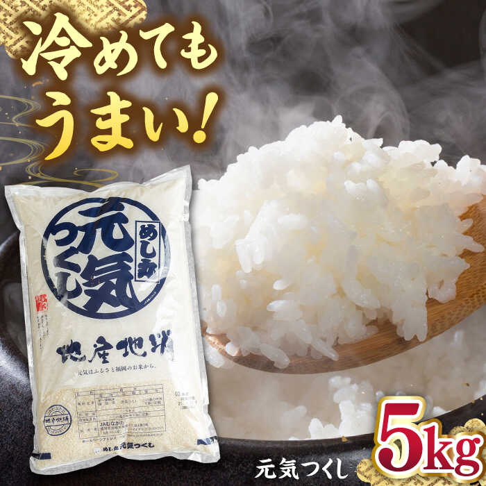 【ふるさと納税】福岡産ブランド 米 元気つくし 5kg ▼ 米 こめ お米 福岡 九州 白米 精米 桂川町/南国フルーツ株式会社[ADBW026]