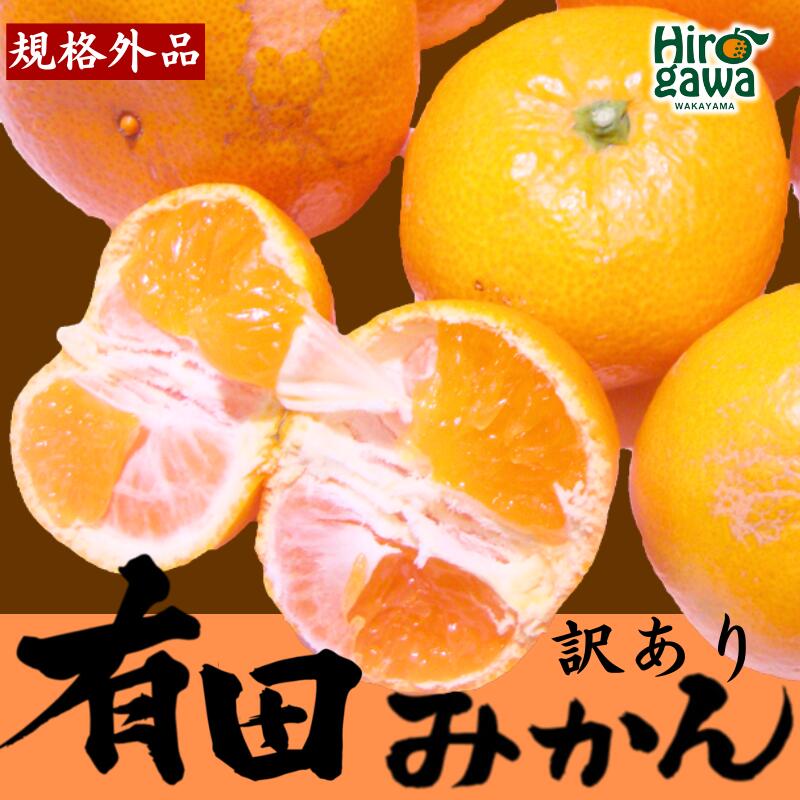 【ふるさと納税】 農家直送 有田 みかん 訳あり 光センサー 選別 / 温州みかん 有田みかん 甘い 家庭用 お試し 送料無料 和歌山 柑橘 5kg 10000円 ※11月中旬～1月中旬に順次発送 ※北海道・沖縄・離島への配送不可 //mandarin