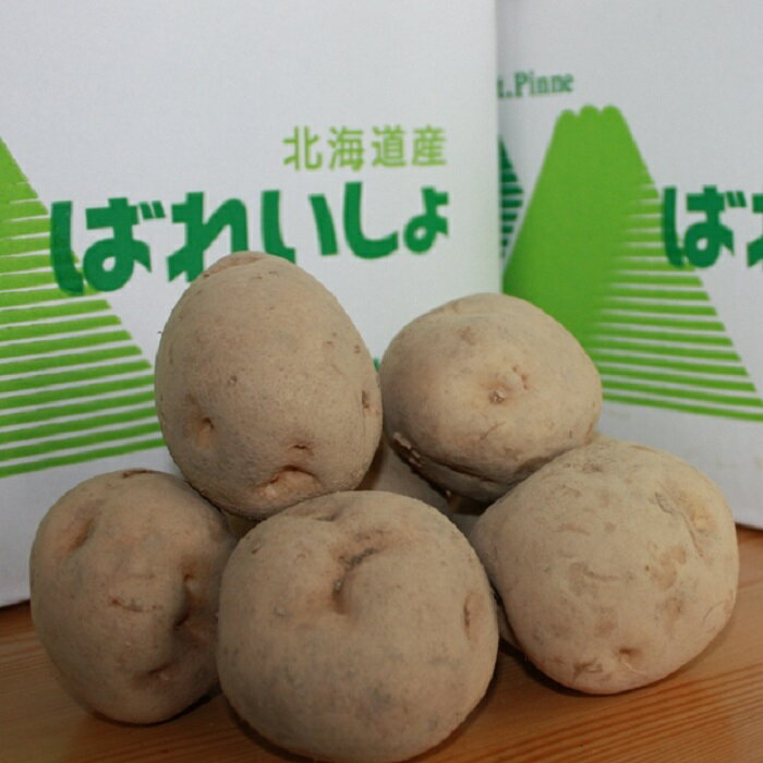 【ふるさと納税】男爵いも 約20kg じゃがいも 穀物 北海道 浦臼町 送料無料 【2025年9月上旬～2025年9月下旬発送予定】