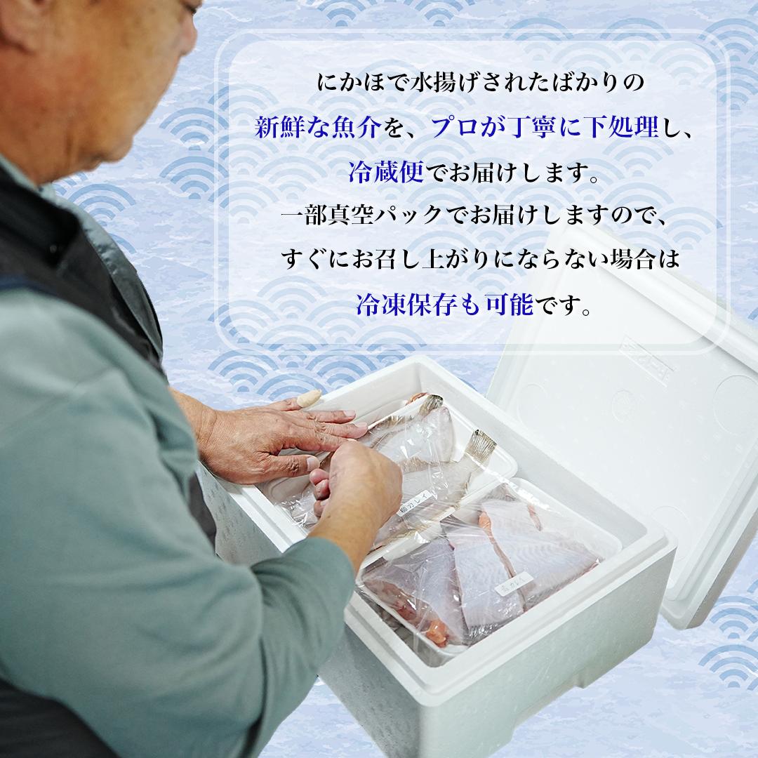 鮮魚 冷蔵 クール便「 開けたらすぐ食べられる下処理済み 海産物 4～5人前 セット 」さとう鮮魚店【 パック 詰め合わせ 海鮮セット 鮮魚ボックス 海鮮 海の幸 魚介 魚介類 刺身 切り身  秋田県