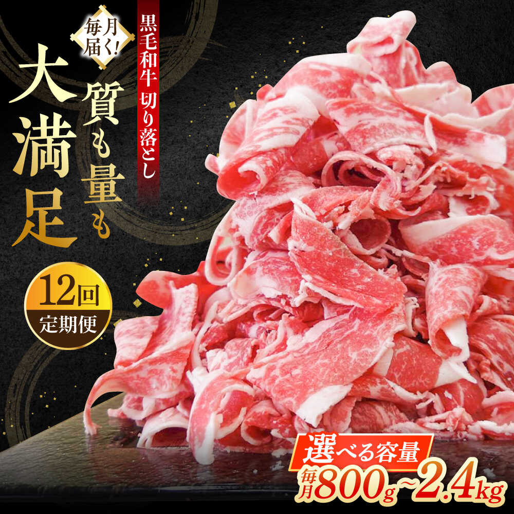 【ふるさと納税】【12回定期便】牧場直営店の黒毛和牛 切り落とし 〈選べる容量！〉800g(2P)・1.2kg(3P)・2.4kg(6P)【川崎畜産】スライス 国産 和牛 牛肉 人気 ランキング おすすめ すき焼き しゃぶしゃぶ 冷凍 定期 佐賀県 白石町 白石 [IAX019]