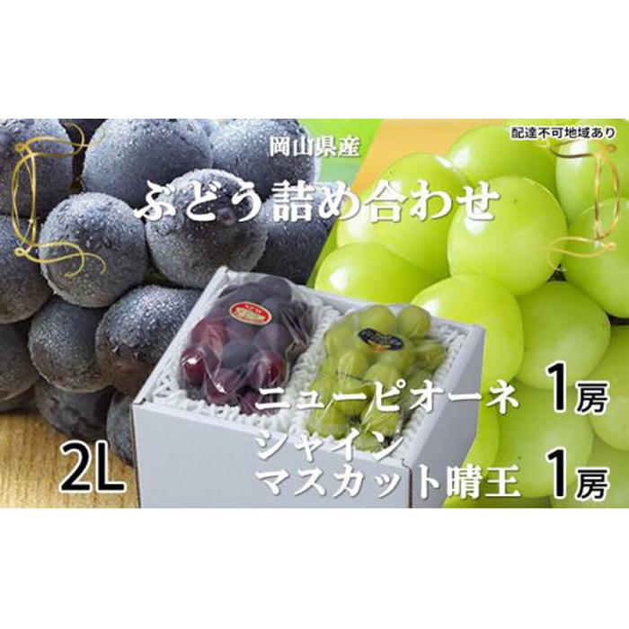 【ふるさと納税】ぶどう 2026年 ニュー ピオーネ 1房 約500g シャイン マスカット 晴王 1房 約500g（2Lサイズ）詰め合わせ 岡山県産 国産 フルーツ 果物 ギフト | フルーツ 果物 くだもの 食品 人気