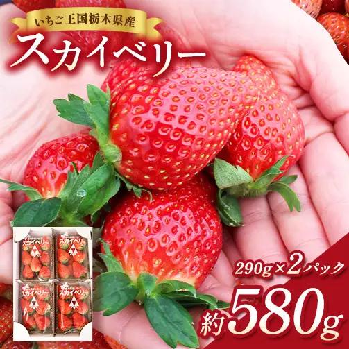 【先行予約】出会いの森いちご園 スカイベリー （290g×2パック） | いちご イチゴ 苺 栃木県 果物 くだもの フルーツ スカイベリー 新鮮 贈答 ギフト デザート スイーツ ※2026年12月～発送