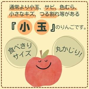 サンふじ 小玉 10kg 43～50玉【1587842】