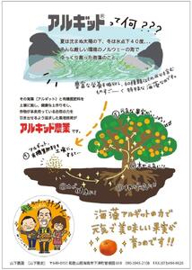国産 バレンシアオレンジ 約5kg M～LLサイズ 山下農園