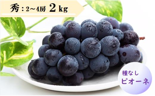08-08-020　ぶどう(種なしピオーネ)2kg