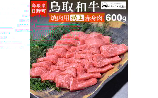 鳥取和牛 焼肉用特上赤身肉（600g）【やまのおかげ屋】HN024-002