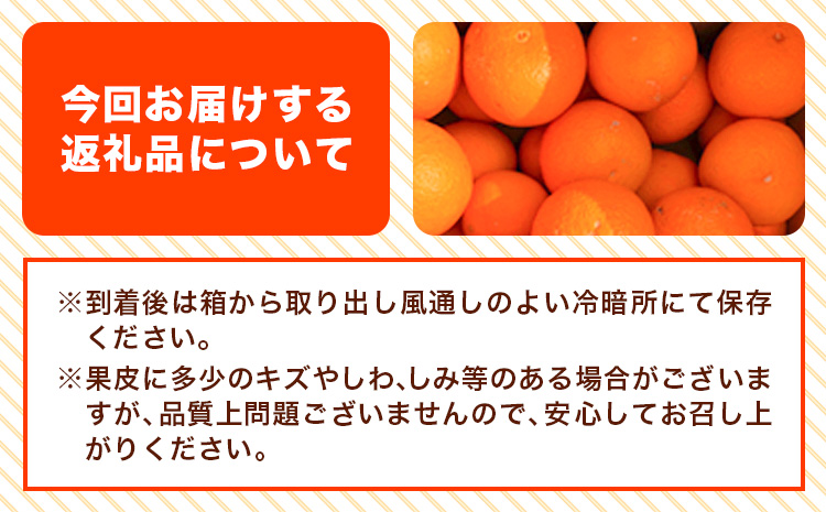 【ご家庭用訳アリ】 紀州有田産清見オレンジ 約7.5kg 株式会社魚鶴商店《2026年3月下旬-4月中旬頃出荷》 和歌山県 日高川町 オレンジ 柑橘 ご家庭用 フルーツ