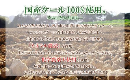 ＜ファンケル 西予市産 搾りたてケール青汁 3回定期便＞ 濃縮野菜 国産 あおじる 無添加 ミネラル農法 化学農薬不使用 飲料 ドリンク 飲み物 小分け FANCL 特産品 グリーンヒル 愛媛県 西予