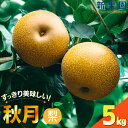 【ふるさと納税】【期間限定発送】 梨 秋月 5kg [新果園 徳島県 北島町 29au0003] なし あきづき 徳島 北島 果物 フルーツ