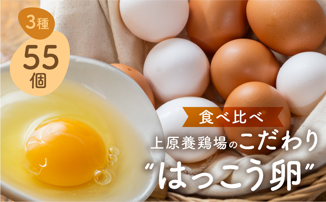 
上原養鶏場のはっこう卵　3種食べ比べMS~Lサイズ 55個+破卵保障5個
