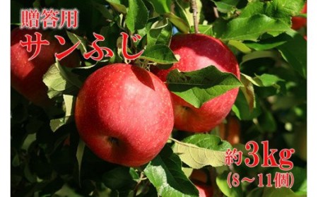 No.0787 ふくしまのりんご蜜姫「サンふじ」約3kg化粧箱入【2026年度発送】