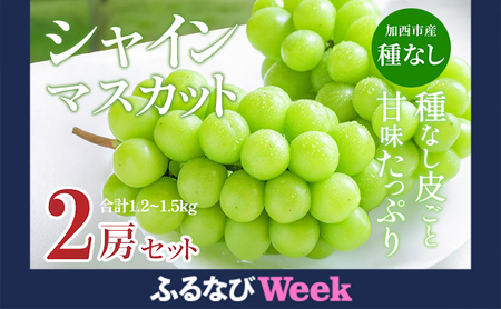 【ふるなびWEEK対象】令和8年産 シャインマスカット 2房 セット 約1.2～1.5kg
