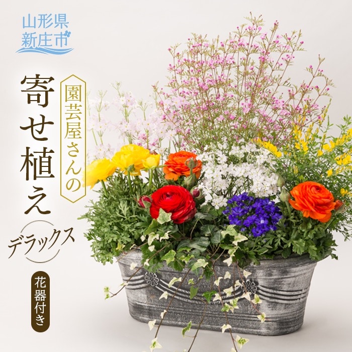 園芸屋さんの寄せ植えデラックス F3S-0808