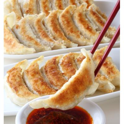 ふるさと納税 那須塩原市 宇都宮餃子 宇味家のぎょうざ　20g×24個