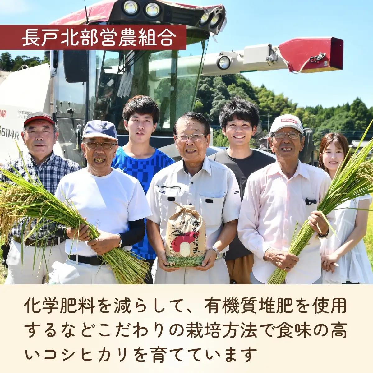 令和8年度 新米 コシヒカリ 玄米 30kg 農家直送 | コシヒカリ 茨城県 龍ケ崎市