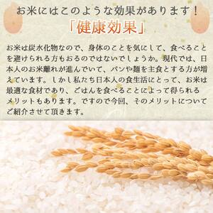 【ヒノヒカリ】令和7年産 白米30kg【5営業日以内に発送】