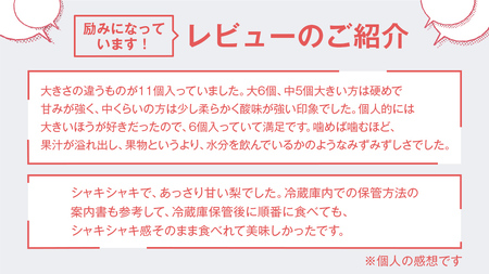 梨 新高 10kg（20～26個）【2026年10月より発送開始】（茨城県共通返礼品 [梨]：大子町産）