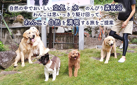 浬世人（リセット）【30,000円分】宿泊補助券 ペットと泊まれる 犬 犬好き ペット わんこ 河津 河津町 静岡 伊豆 宿泊券 自然 旅行 観光