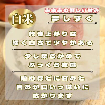ふるさと納税 鳥栖市 【毎月定期便】夢しずく白米6kg(3kg×2袋)(鳥栖市)全3回 |  | 01