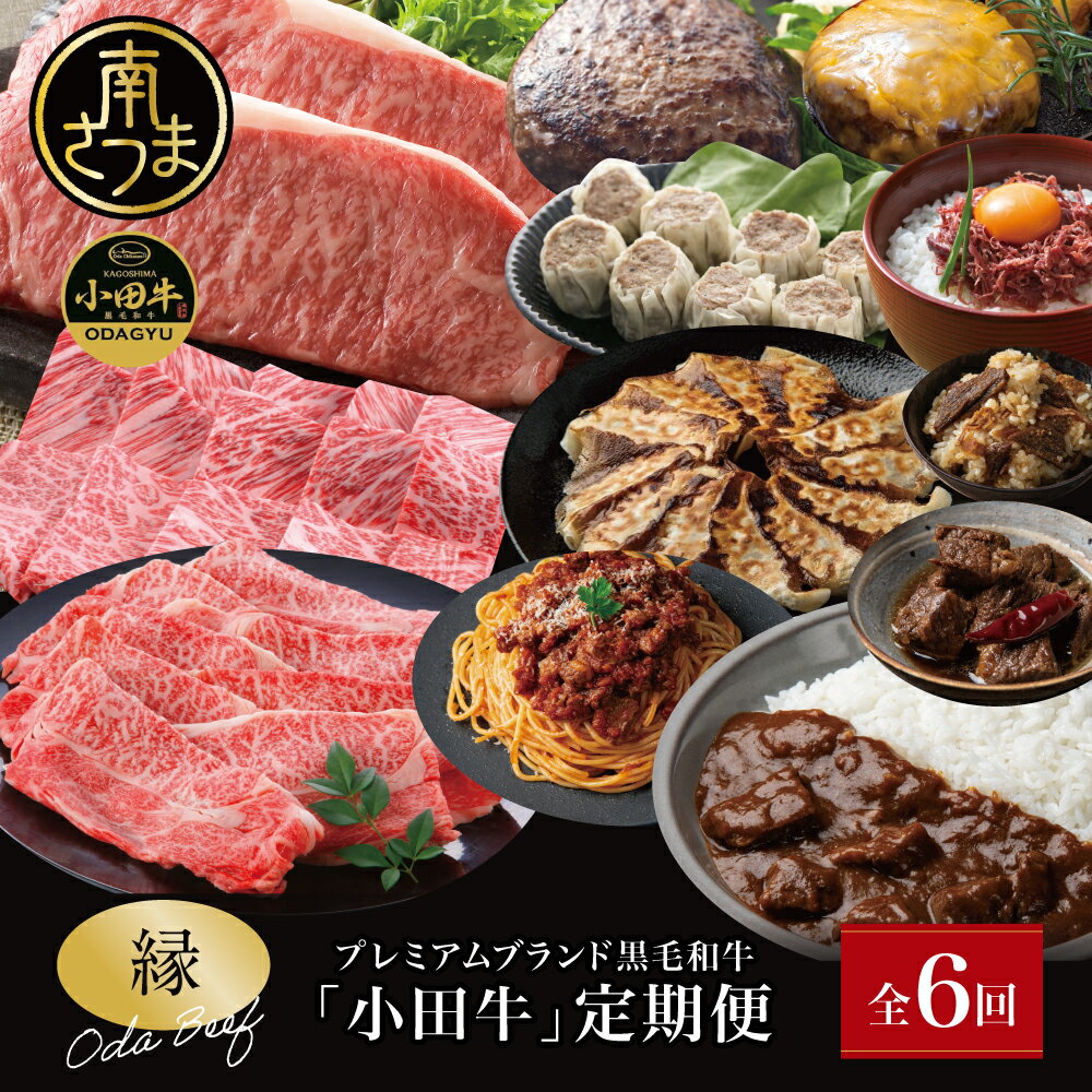 【ふるさと納税】【全6回】プレミアムブランド「小田牛」定期便［～縁～］ 鹿児島県産 黒毛和牛 ステーキ すき焼き 焼肉 BBQ ハンバーグ 餃子 レトルト カレー 常温 冷凍 小田畜産 南さつま市 送料無料