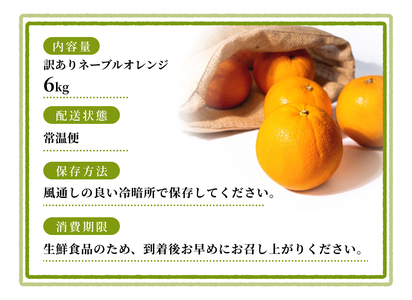 【訳あり】 森本農園の手選別ネーブルオレンジ 約6kg 和歌山県産 サイズ混合 【2026年1月上旬～2月中旬頃に順次発送】【RN19】【mrmt019】