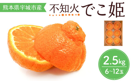 不知火 でこ姫 約2.5kg（6～12玉）【吉田レモニー】【2025年3月上旬～2025年5月下旬発送】宇城市産 デコポン® デコポン同品種 デコポン ®はJA熊本果実連の登録商標 デコポン不知火 不知火はデコポンの品種名
